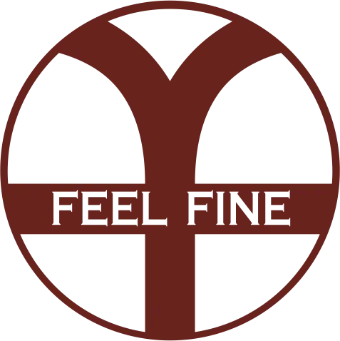 FEEL FINE